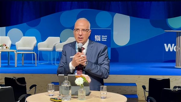 الدكتور هانى سويلم