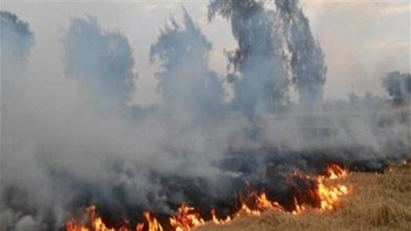 السحابة السوداء