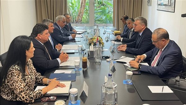 لقاء وزير البترول