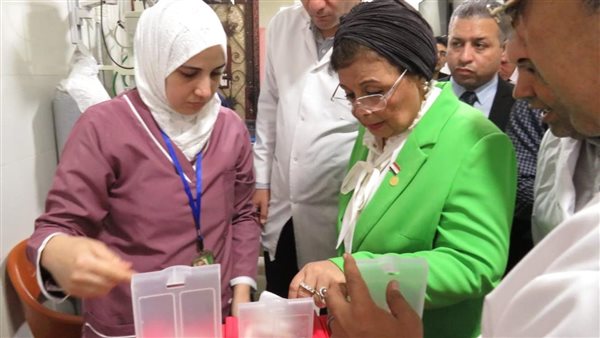 الدكتورة عبلة الألفي