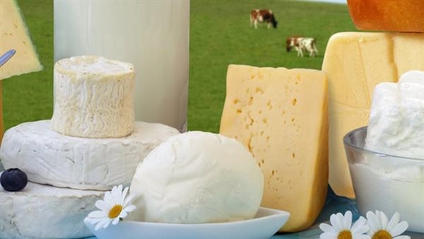 صناعة الألبان الألماني