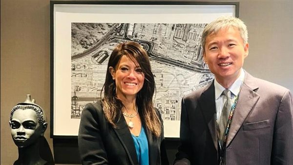 لقاء وزيرة التخطيط