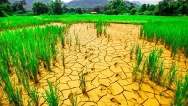  التغيرات المناخية