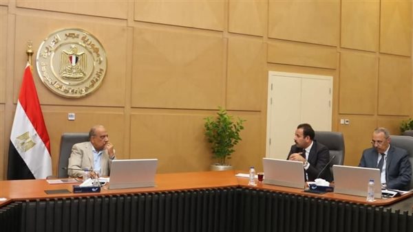 وزير الكهرباء 