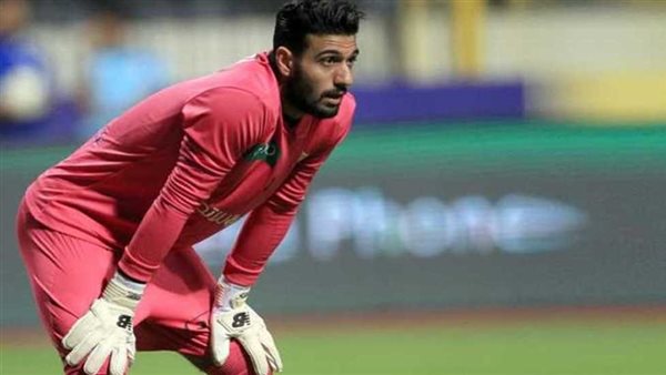 أحمد الشناوي