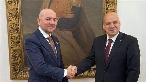 لقاء السفير المصري