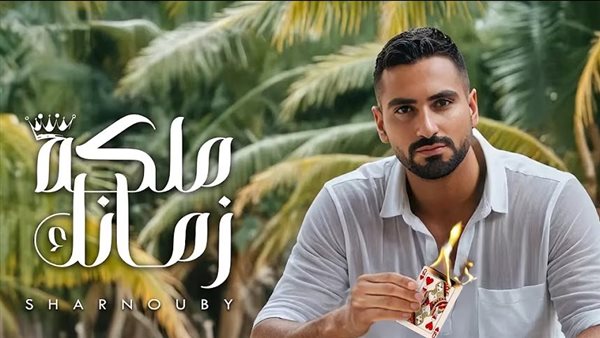 محمد الشرنوبي 