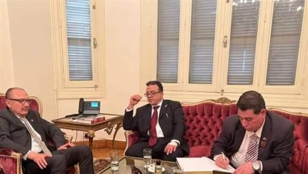 وفد تحيا مصر