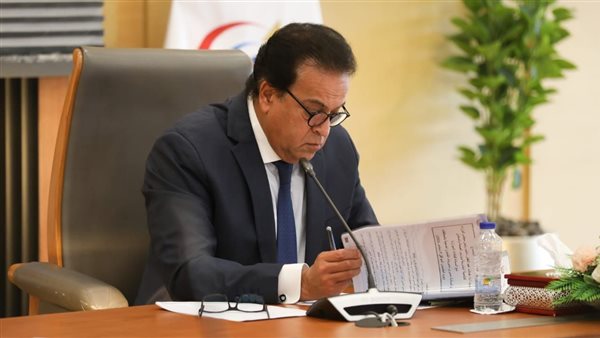 نائب رئيس مجلس الوزراء