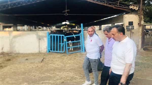 محافظ أسيوط 