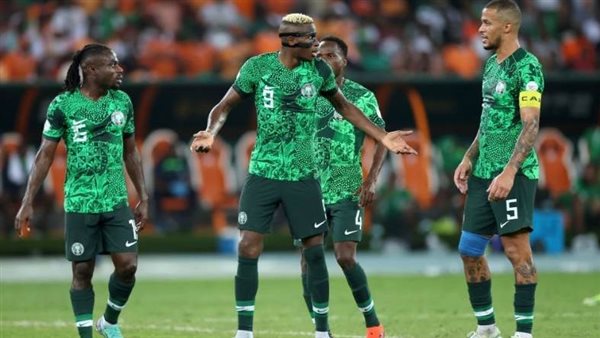 النسور النيجيرية