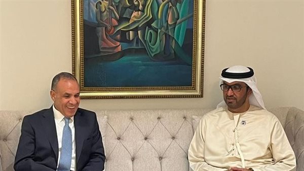 وزير الخارجية يلتقي