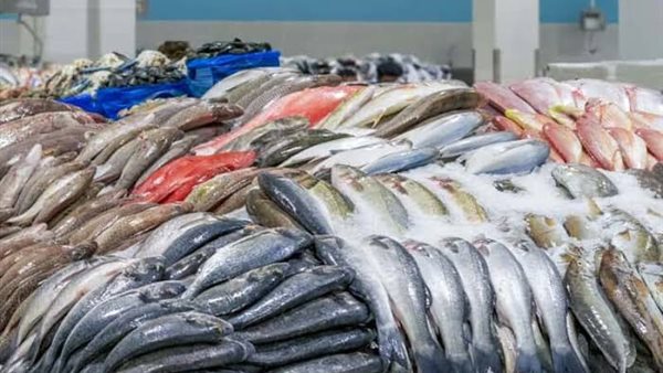 أسعار الأسماك 