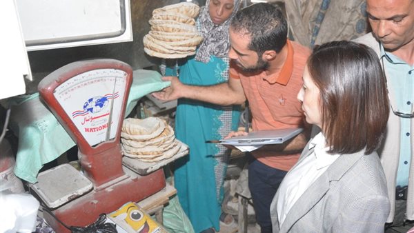 محافظ البحيرة