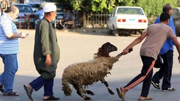 موعد عيد الأضحى 2025