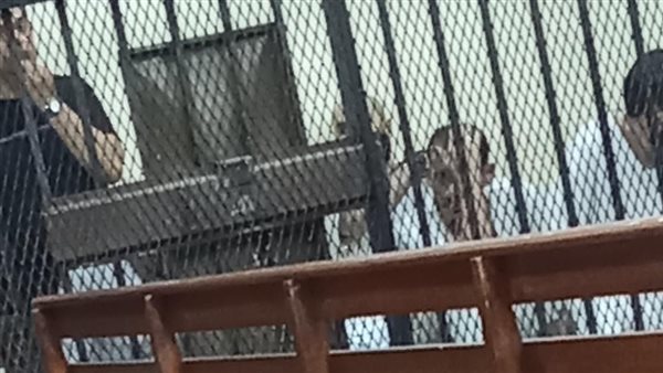 صورة المتهم 