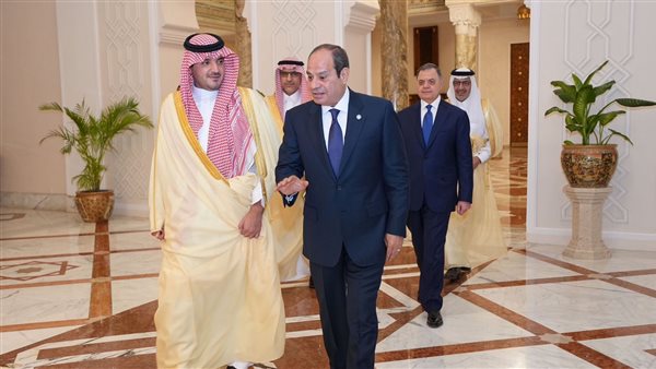 لقاء الرئيس السيسي