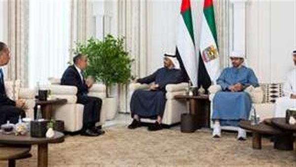 وزير الخارجية يبحث