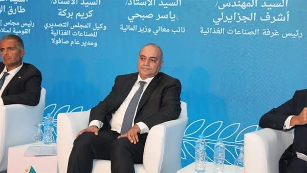 نائب وزير المالية