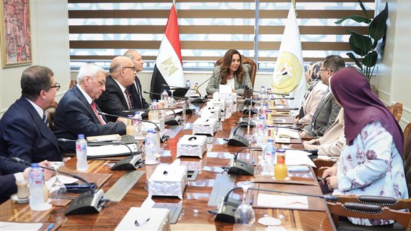 التنمية المحلية