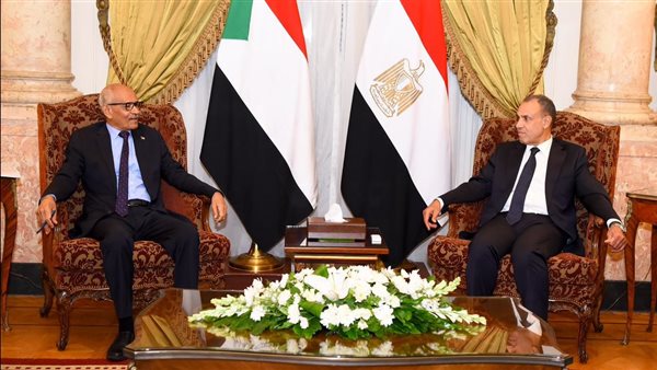 وزير الخارجية المصري