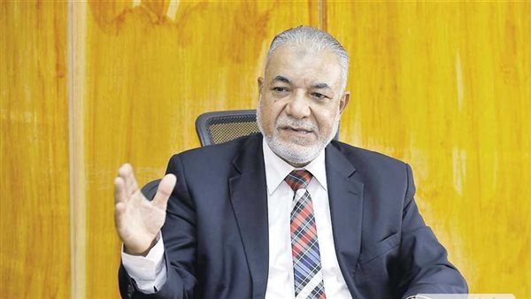 الدكتور محمد البلتاجي