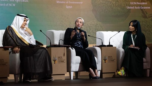 المنتدى الإقليمي