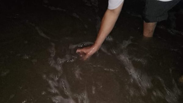 كلية العلوم تؤكد