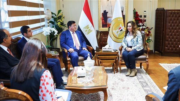 لقاء ووزيرة التنمية