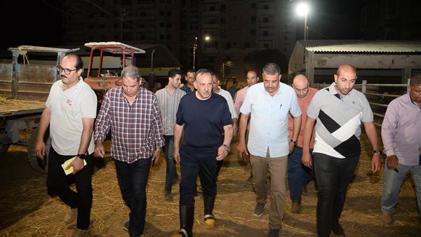 محافظ أسيوط يتابع