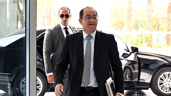 وزير المالية