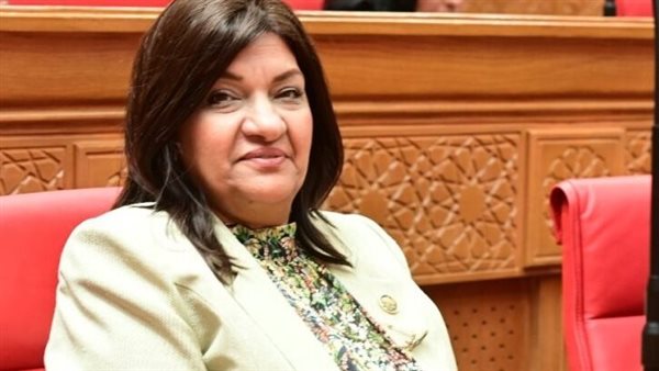 النائبة ايفلين متى