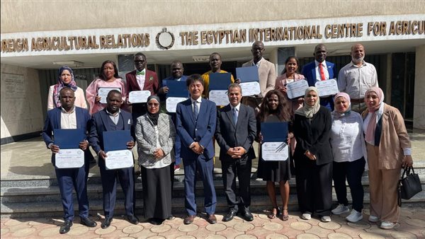 شهادات البرامج التدريبية