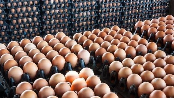 أسعار البيض