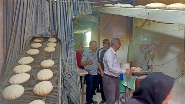 محافظ كفرالشيخ يشدد