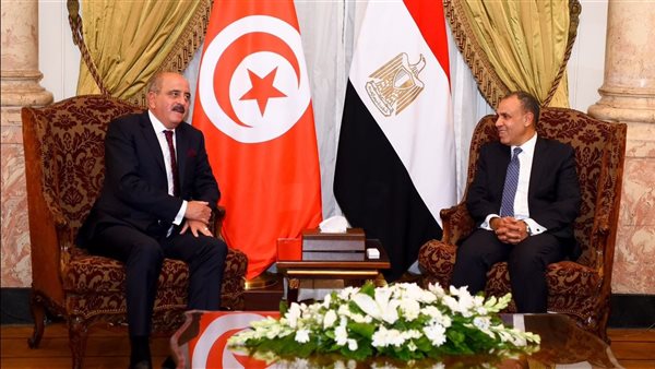 وزير الخارجية المصري