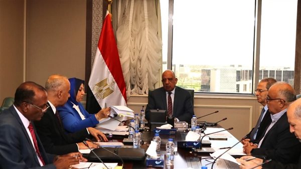 وزير الكهرباء