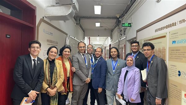 الحزب المصري الديمقراطي