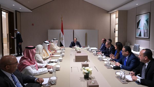 رئيس الوزراء يلتقي