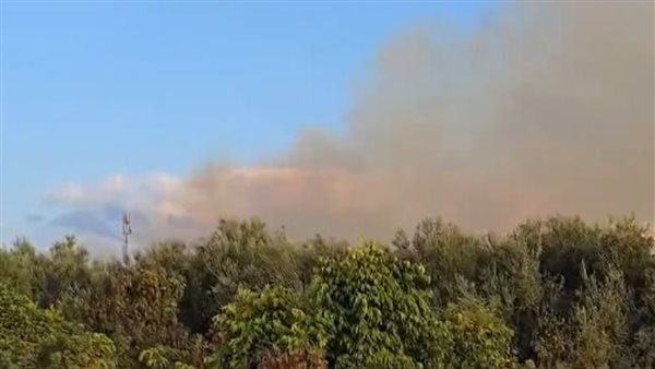 المنطقة التي سقط