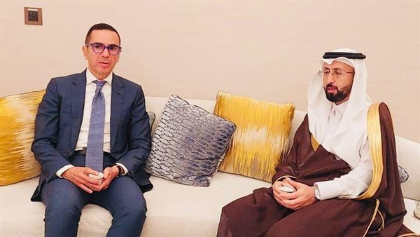 وزير الاستثمار