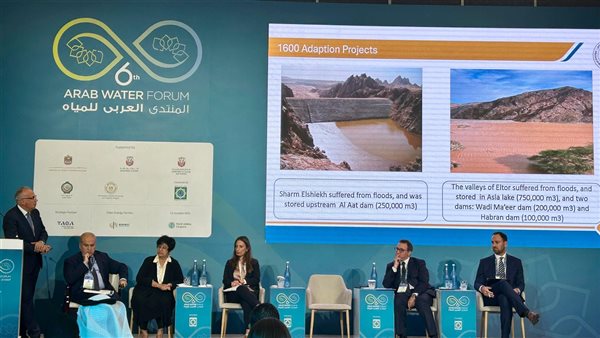 هانى سويلم يستعرض