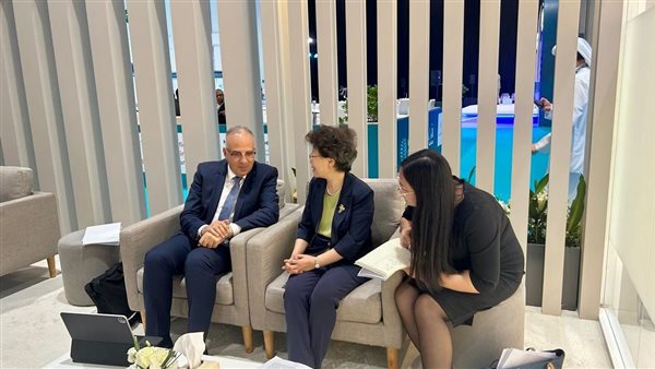 وزير الري يلتقى نائبة