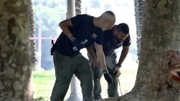 حديقة ياركون