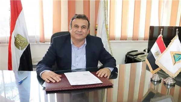 الدكتور محمود الزعبلاوى