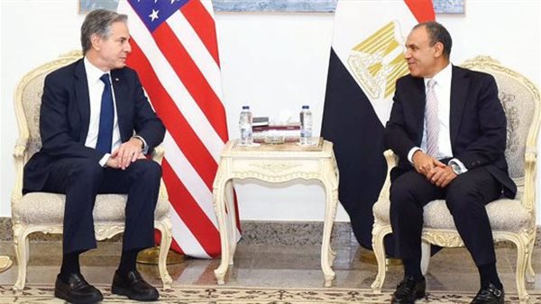 وزير الخارجية المصري