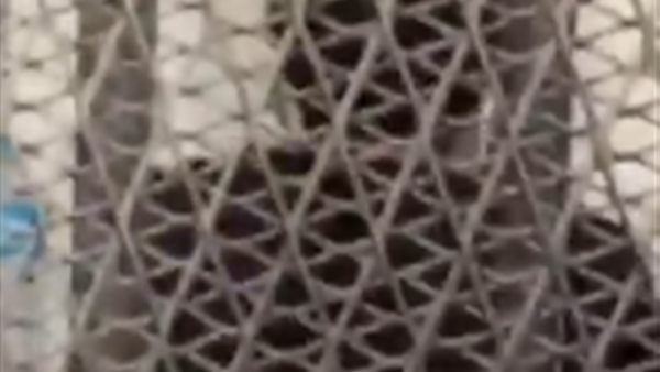 رد فعل غريب من اللاعب