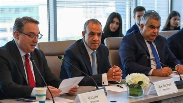 الدكتور بدر عبد العاطي