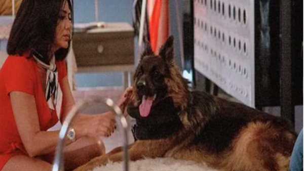 جانب من المشهد 