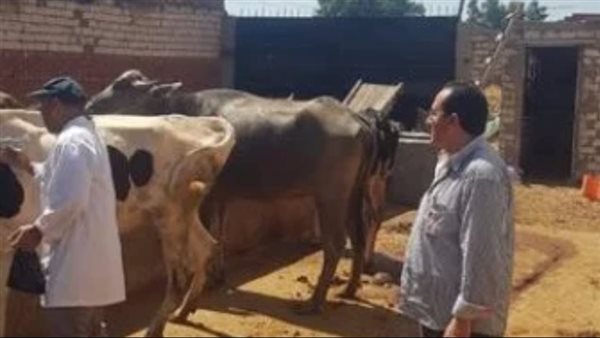 تحصين الماشية